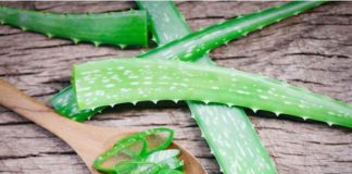 10 Aloe Vera Hair Masks for a Gorgeous Mane