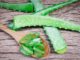 10 Aloe Vera Hair Masks for a Gorgeous Mane
