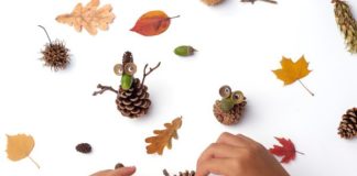 23 Pinecone Crafts and Experiments for All Ages and Stages