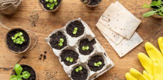 Save the Planet: 21 Earth Day Activities and Crafts for Kids