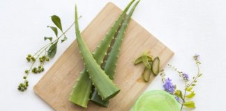 Love Your Skin: 8 Aloe Vera Face Masks For a Clear Complexion