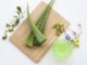 Love Your Skin: 8 Aloe Vera Face Masks For a Clear Complexion