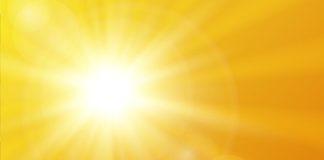 Vitamin D 101: 6 Vitamin D Deficiency Remedies for Women