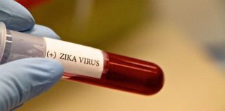 Keeping Zika Out of the U.S. Blood Supply