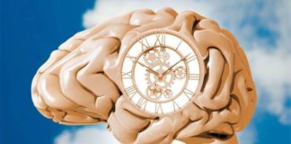 I Used My Chronotype Info to Revamp My Life: Here’s What Happened