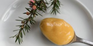 What’s All the Buzz About Manuka Honey?