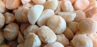 Here’s Why Macadamia Nuts Are So Delicious and So Crazy Expensive