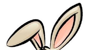 How to Draw a Rabbit in 5 Steps