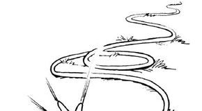 Garden Hose Activities