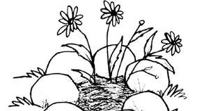 Activities with Rocks and Stones