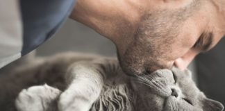 Slow Blinking at Your Cat Really Bonds You Both — Try It!