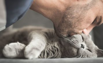 Slow Blinking at Your Cat Really Bonds You Both — Try It!