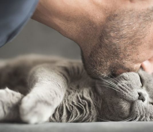 Slow Blinking at Your Cat Really Bonds You Both — Try It!