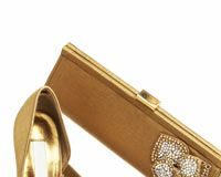 Mix and Match or Matchy-Match: Purse and Shoes