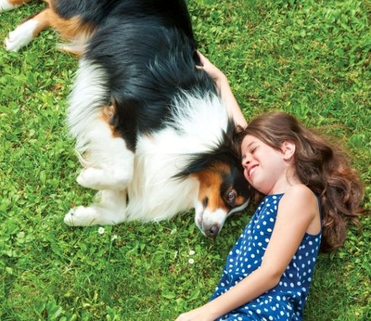 Grow Up With Pets