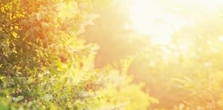 Get Ready for Back-to-School Season