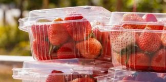 10 Types of Toxic Food Packaging
