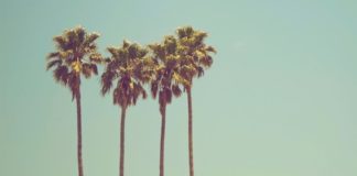 Get the best skin, hair & nails for summer …