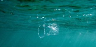 Plastic: It’s in Our Blood