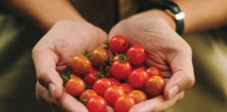 5 Food Pairs That Can Save Your Heart