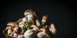 10 Amazing Health Benefits of Mushrooms