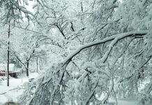 Prepare Your Family for Winter Weather