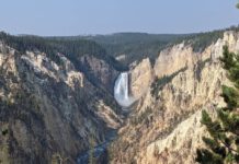 10 Things No One Tells You About Visiting Yellowstone National Park