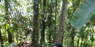 A South Indian lesson in loving my in-laws