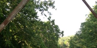 Where We’re From: Hayley, Monett, Missouri, USA