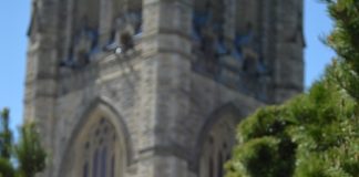 Where We’re From: Vanessa Chiasson, Ottawa, Canada