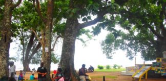 What Is a Sustainable Souvenir? Take Home Eco Memories