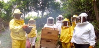 Exploring Nicaragua: From Honey to Rum