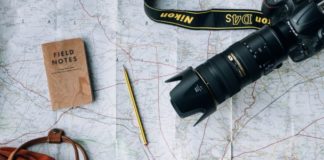 A Complete Guide to Gluten-Free Road Trips in the US