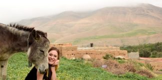 Survival Guide: 5 Steps for Curing Wanderlust