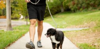 10 Ways to Lose More Weight Walking