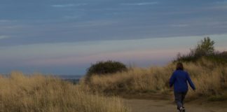 10 Reasons to Walk Every Day