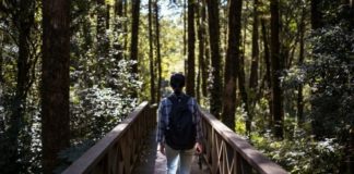 How to Turn Your Walk Into a Moving Meditation