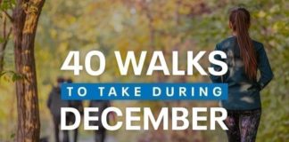 40 Walks to Take During December