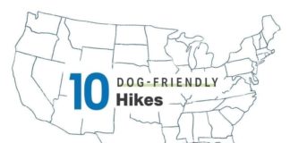 10 Dog-Friendly Hikes in the U.S.