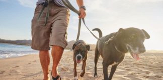 The Problem With Walking in Flip-Flops