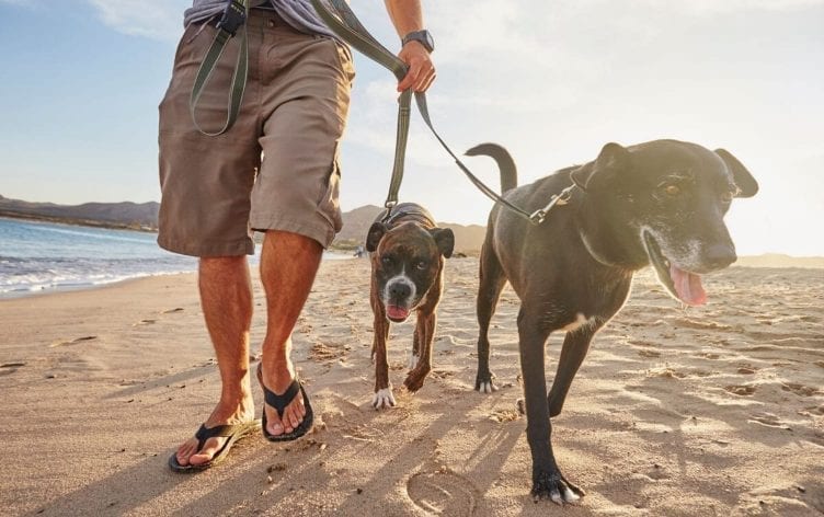 The Problem With Walking in Flip-Flops