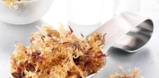 Is Sea Moss Worth the Hype?