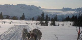 Libby Riddles on the What it Takes to Win the Iditarod