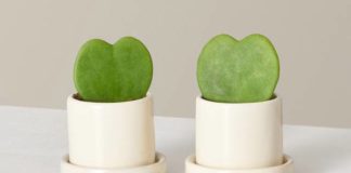 19 Gifts to Show Your Loved Ones How Much You Appreciate Them